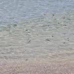 Апартаменты Playa Chica